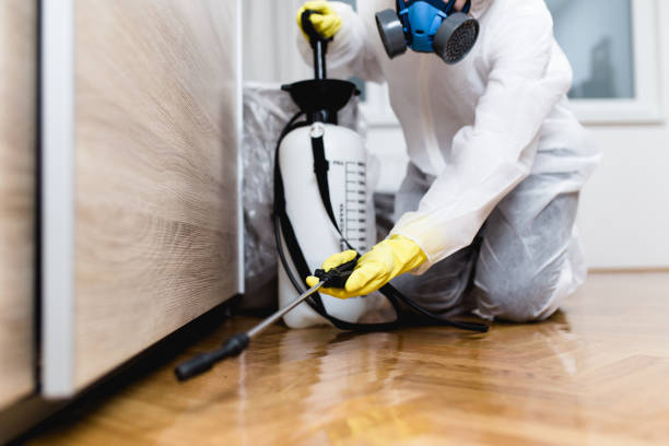Best Pest Control for Homes  in Lexington, TN