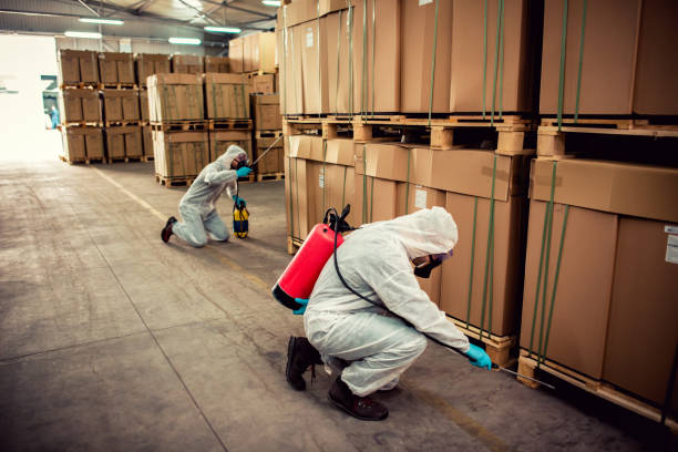  Lexington, TN Pest Control Pros