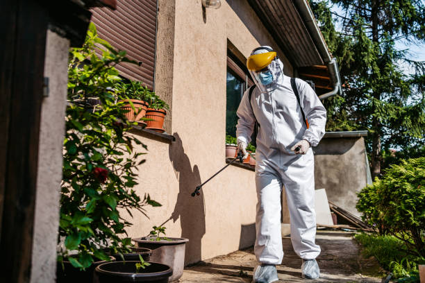 Wasp Removal Services in Lexington, TN