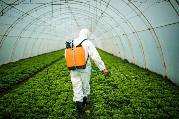 Best Pest Control Near Me in Lexington, TN