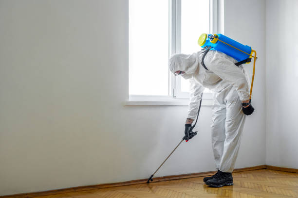 Trusted Lexington, TN Pest Control Experts