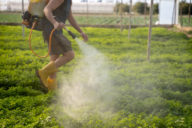 Best Pest Control for Businesses  in Lexington, TN