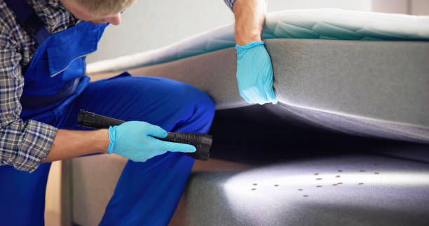 Best Pest Removal Services  in Lexington, TN