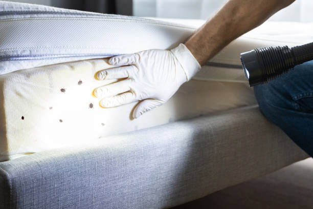 Best Commercial Pest Control Services  in Lexington, TN